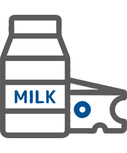 ERP Software solution - SAP Business One for Dairy Industry