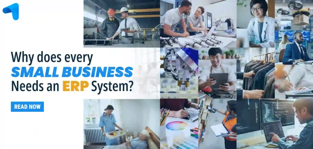 Small Businesses needs an ERP System