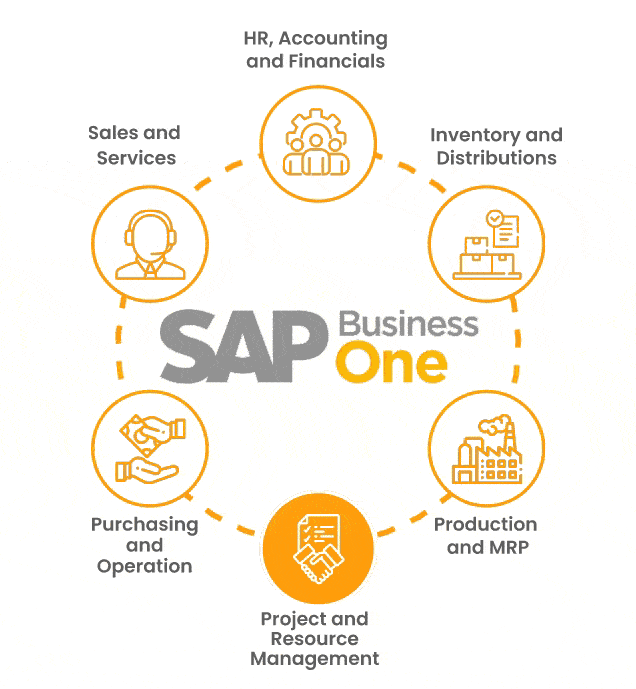 sap business one process