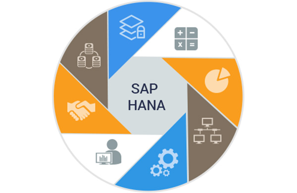 important-area-implemented-sap-hana