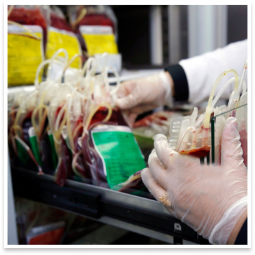 Blood Bank Management System