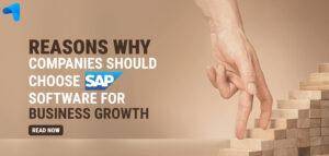 Reasons Why Companies Should Choose SAP Software for Business Growth?