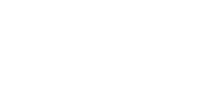 Ideaforge