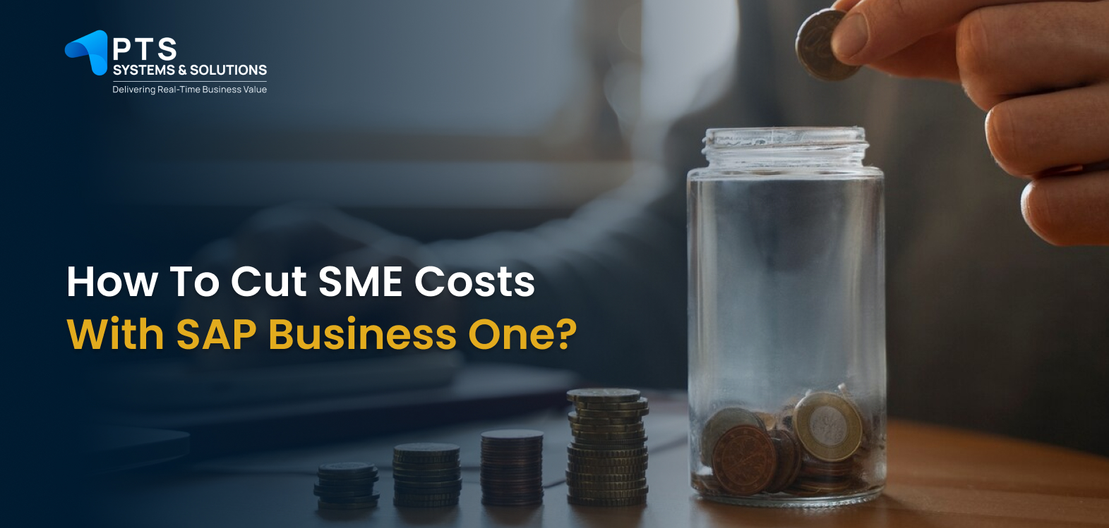How to Cut SME Costs with SAP Business One?